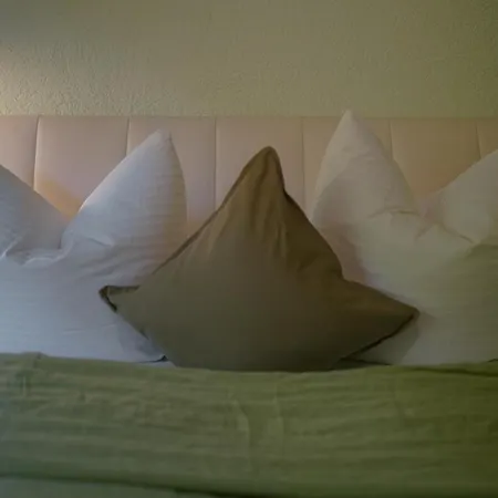 No 19 In The Black Forest 아파트 상트블라신