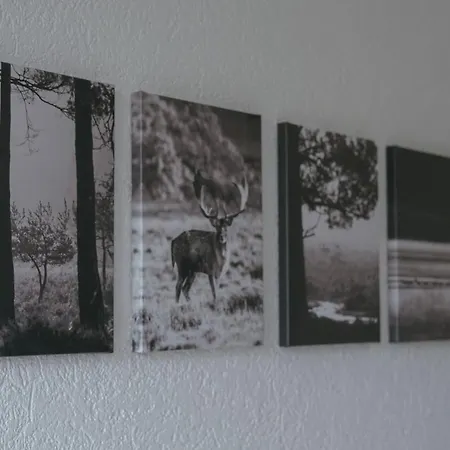 No 19 In The Black Forest