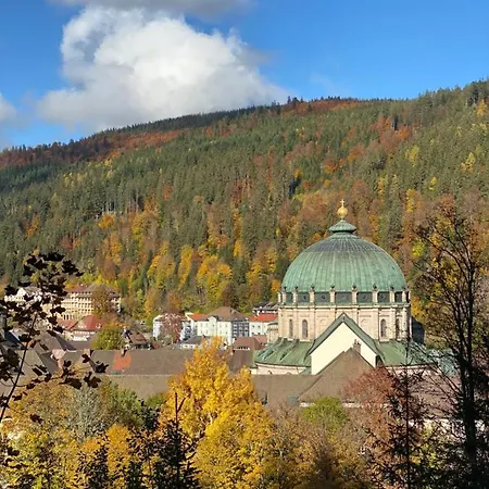 Apartment No 19 In The Black Forest