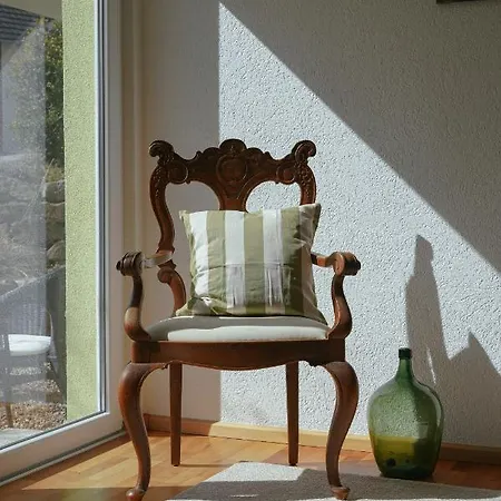 No 19 In The Black Forest Apartamento St. Blasien