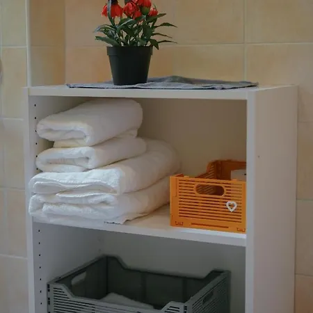 Apartamento No 19 In The Black Forest St. Blasien