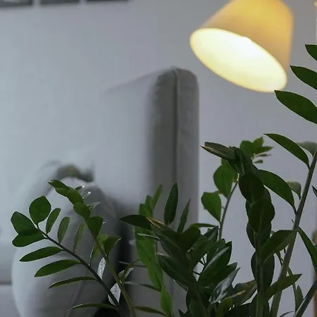 No 19 In The Black Forest Apartamento