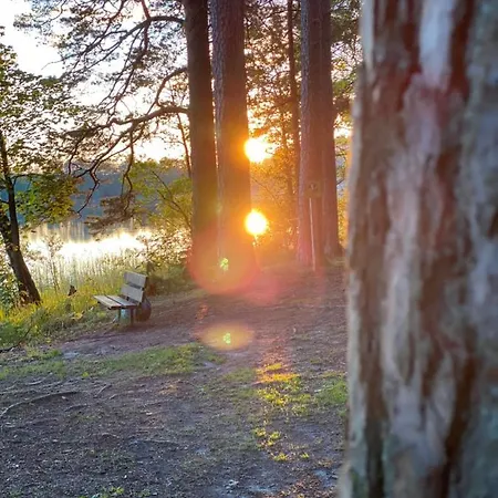 No 19 In The Black Forest 아파트