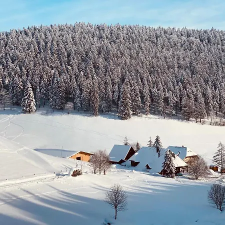 No 19 In The Black Forest 아파트 상트블라신