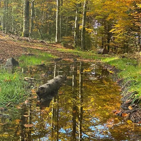 아파트 No 19 In The Black Forest *